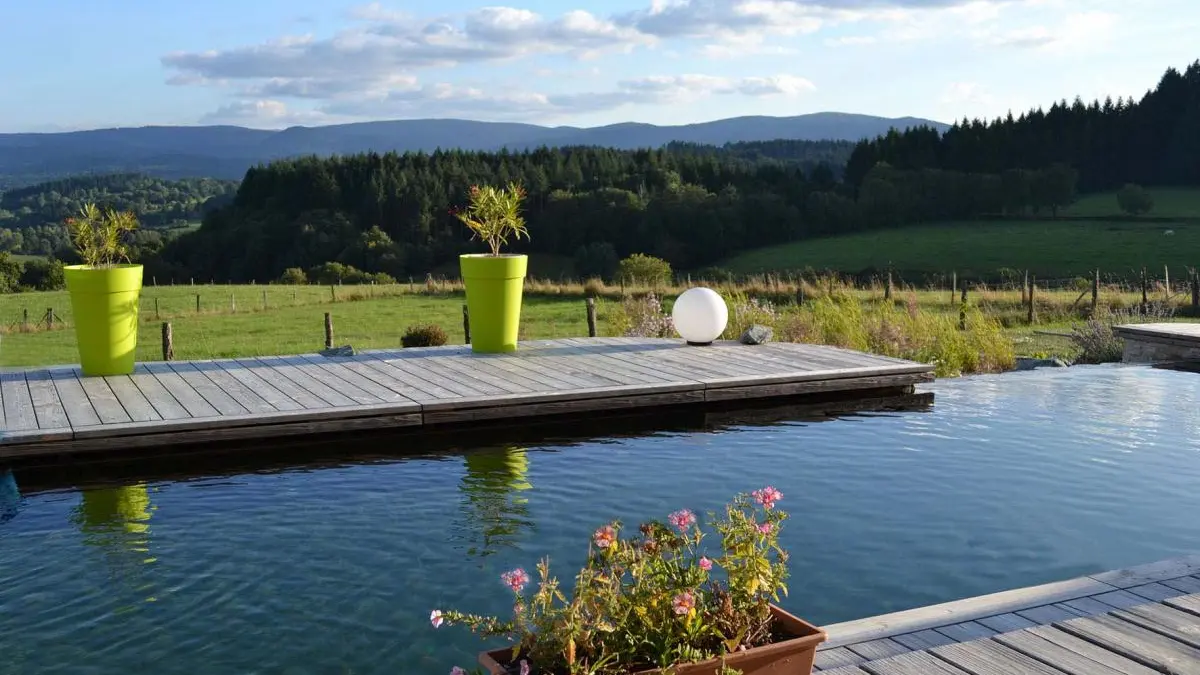piscine naturelle vue sur les monts du Forez