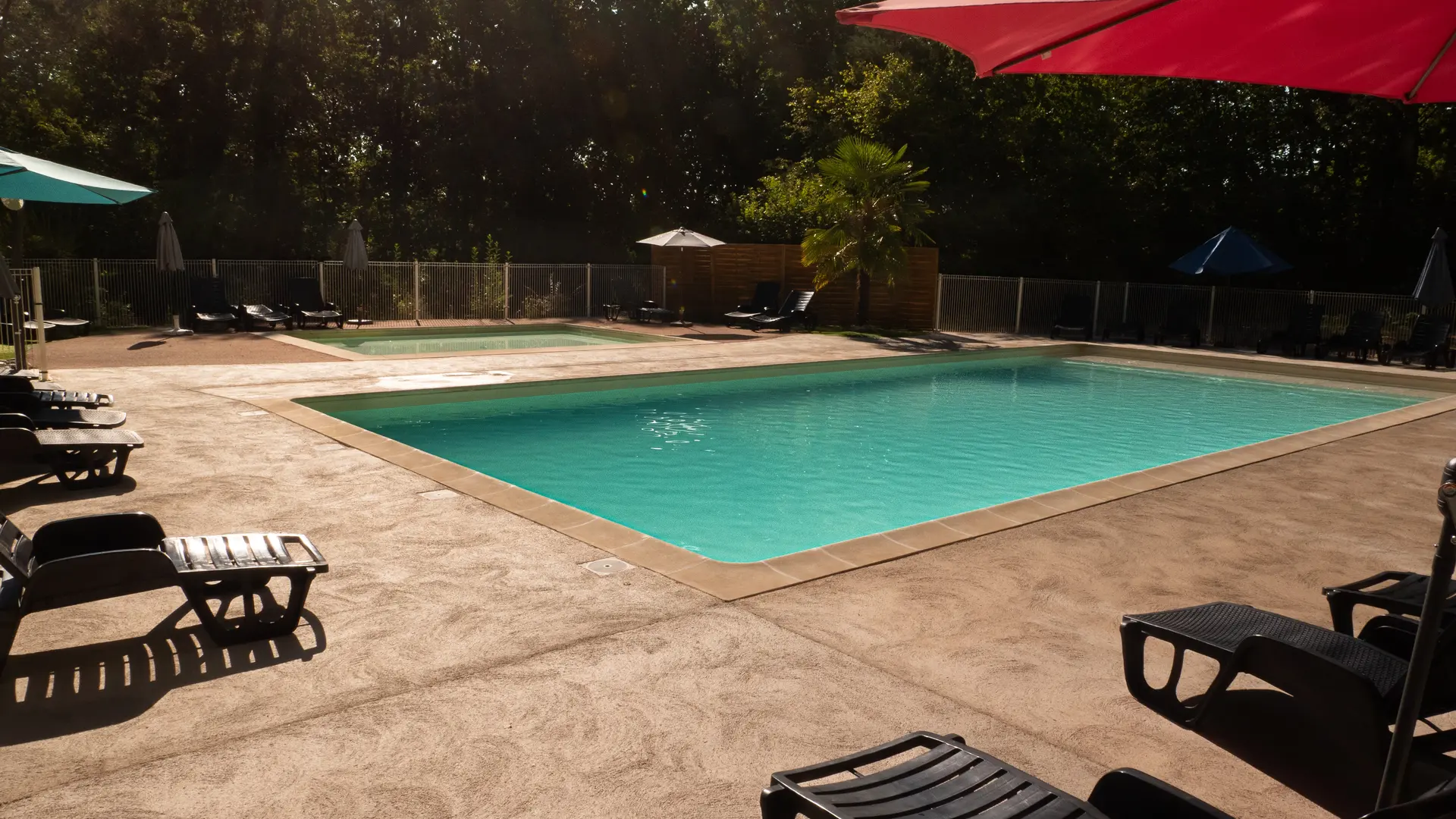 Vue sur la piscine et les transats