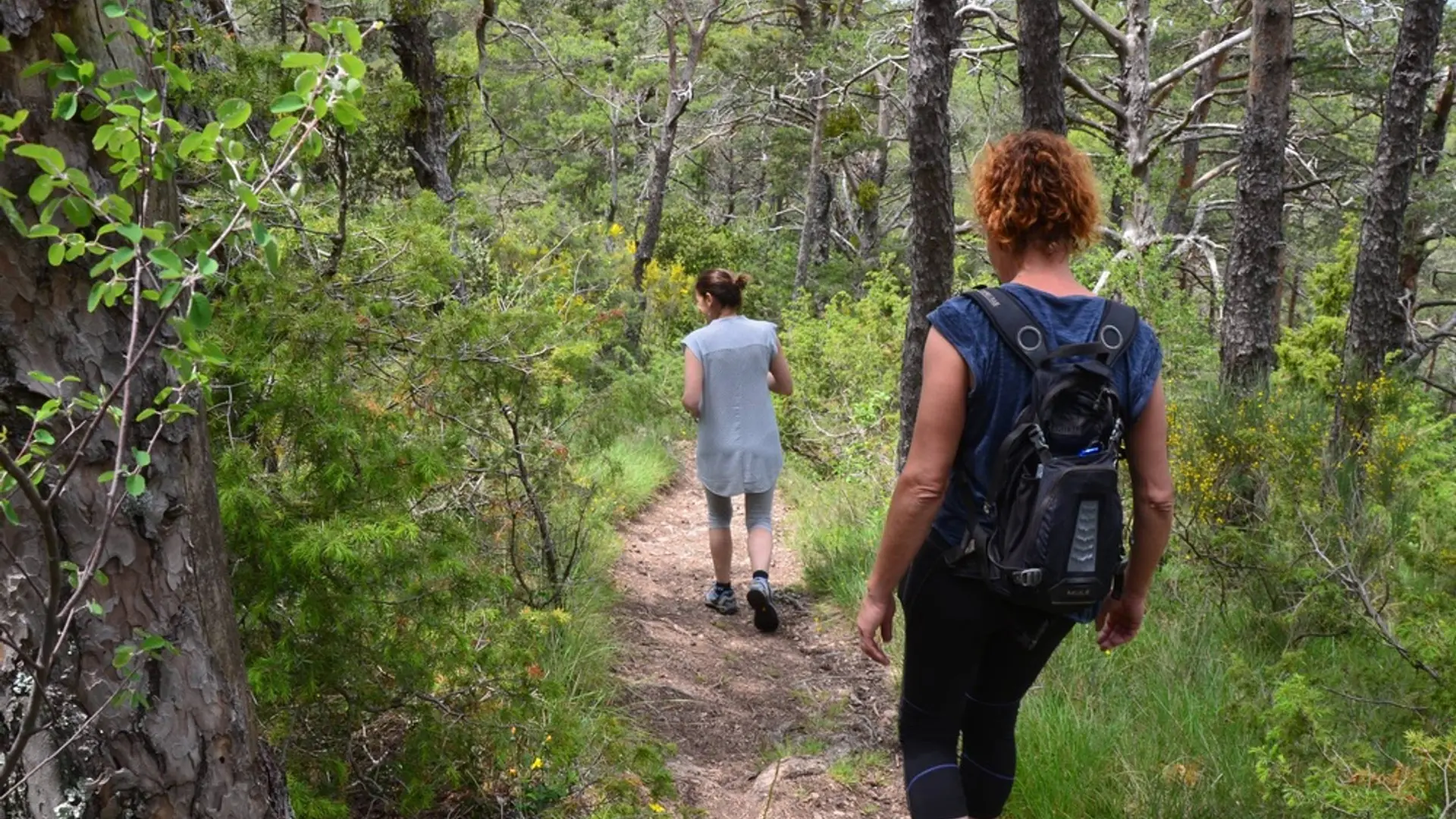 Randonneuses en sous bois