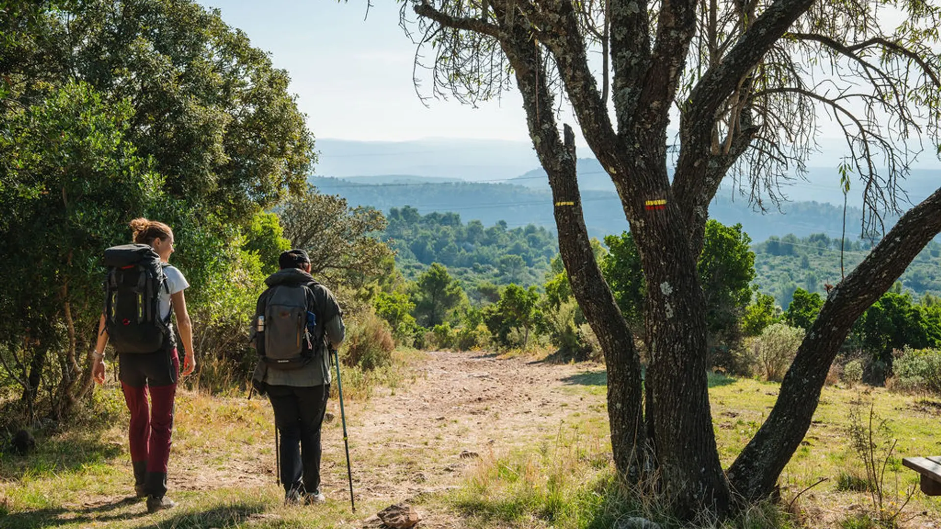 Balade dans la colline