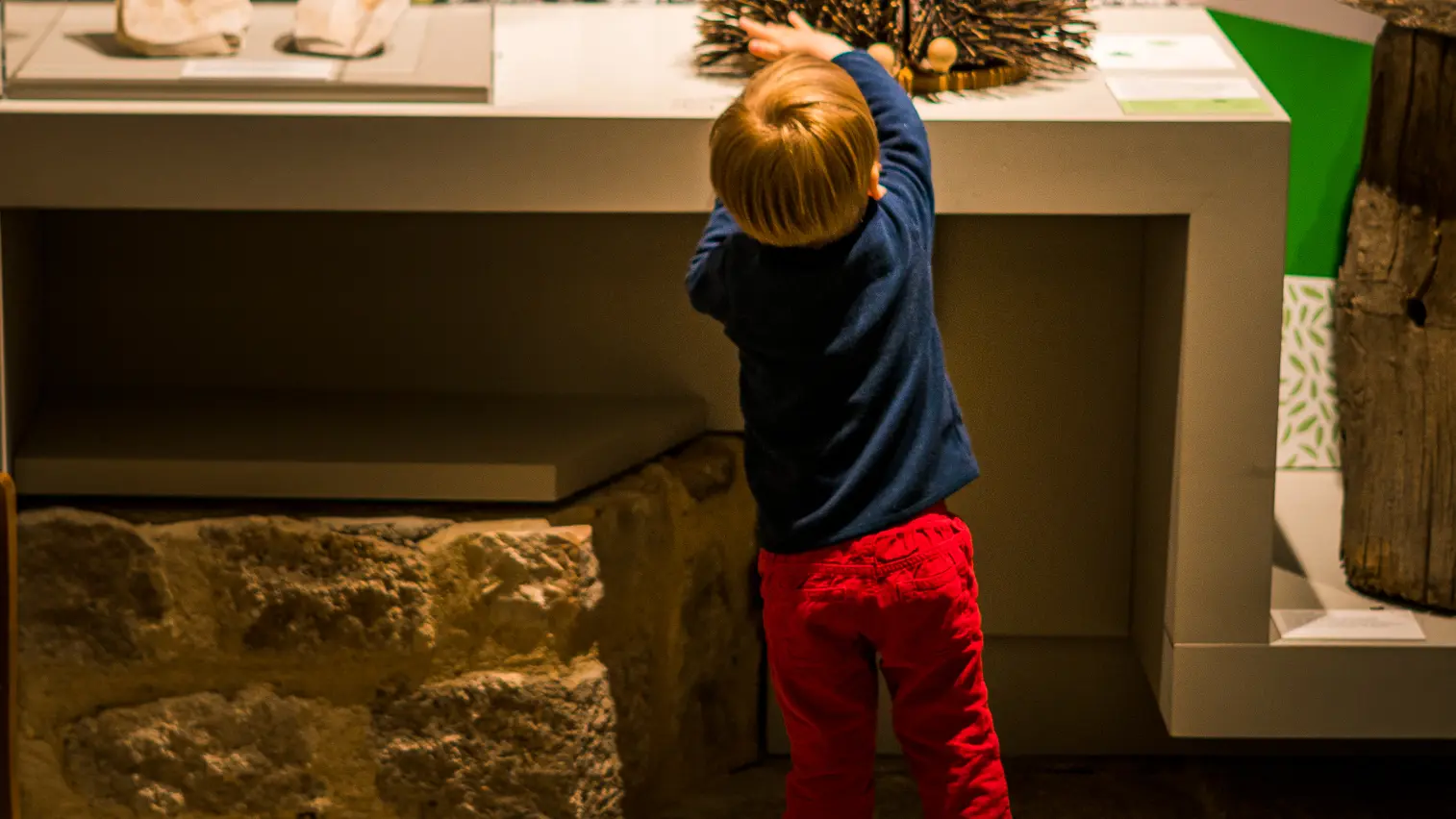 Espace Environnement du Châtaignier