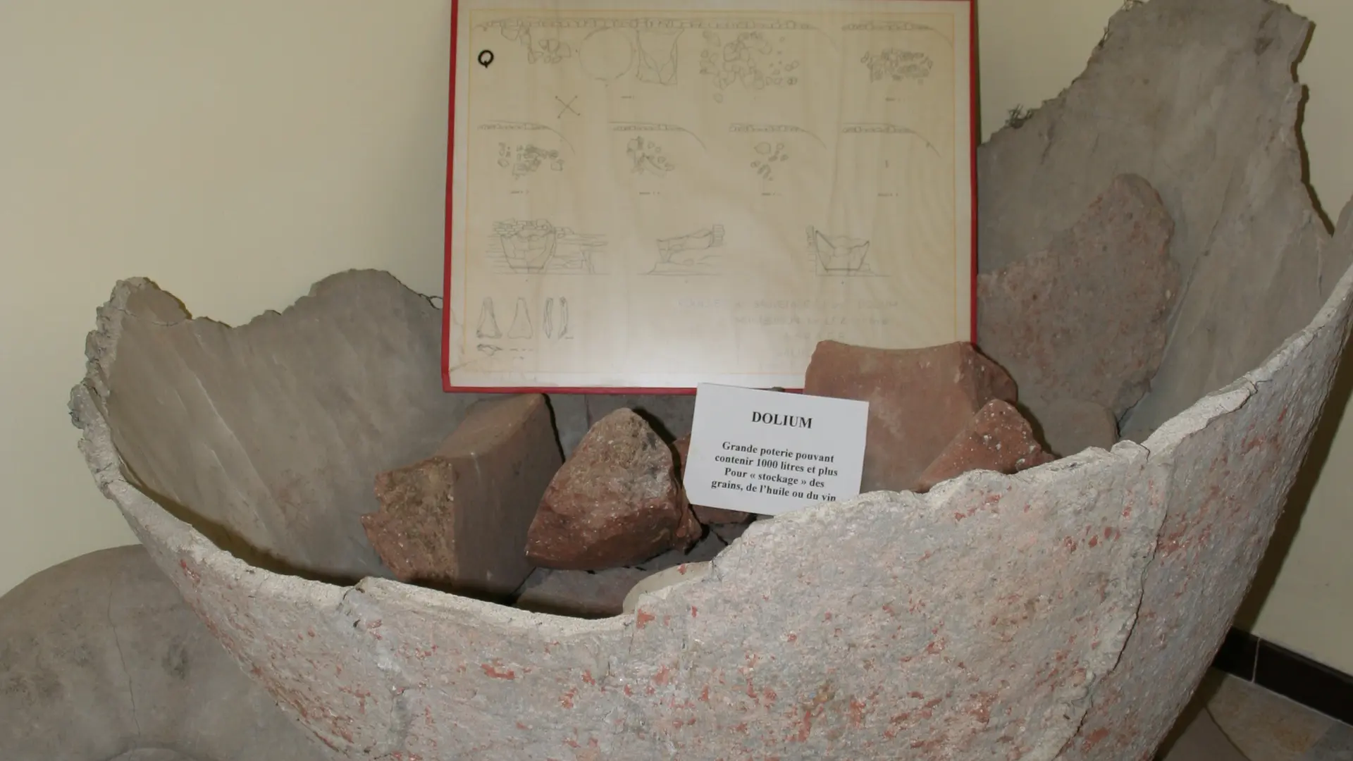 Détail expo - Musée de pays - Archéologie et Paléontologie