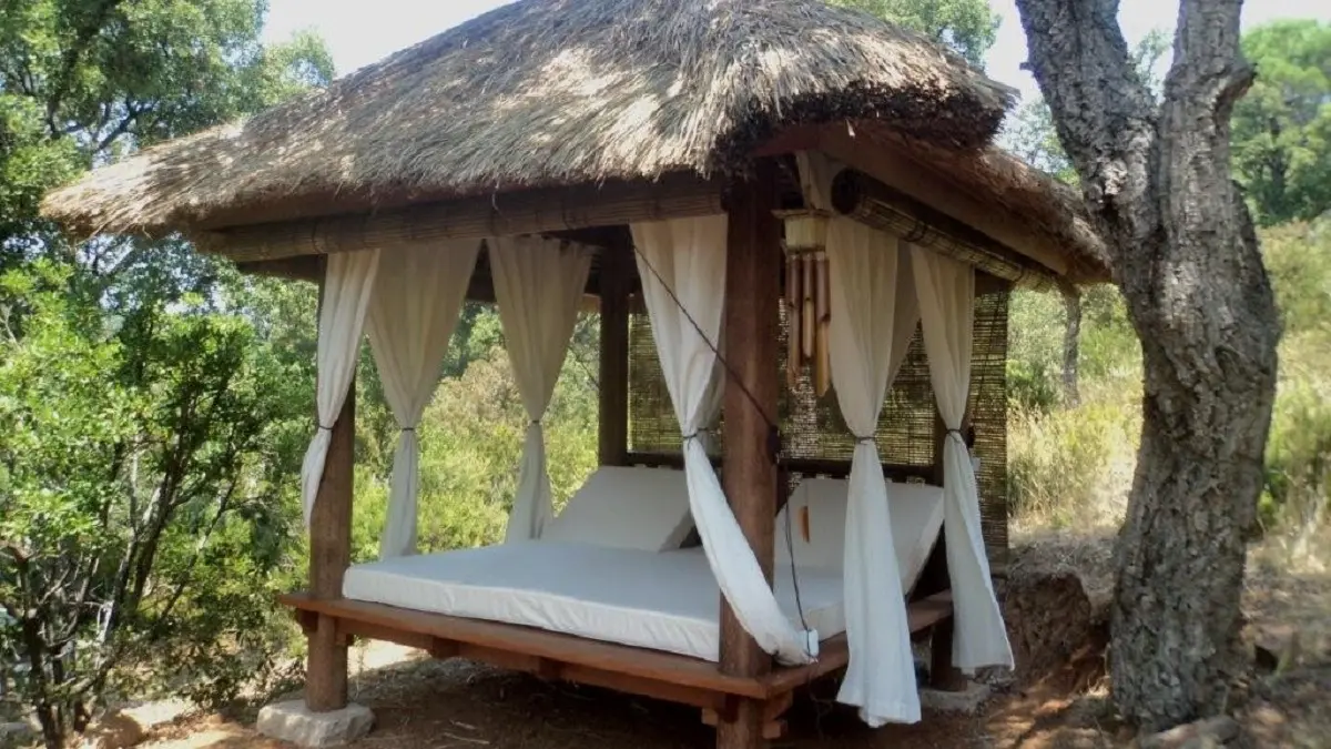 Jungle spirit Sanary