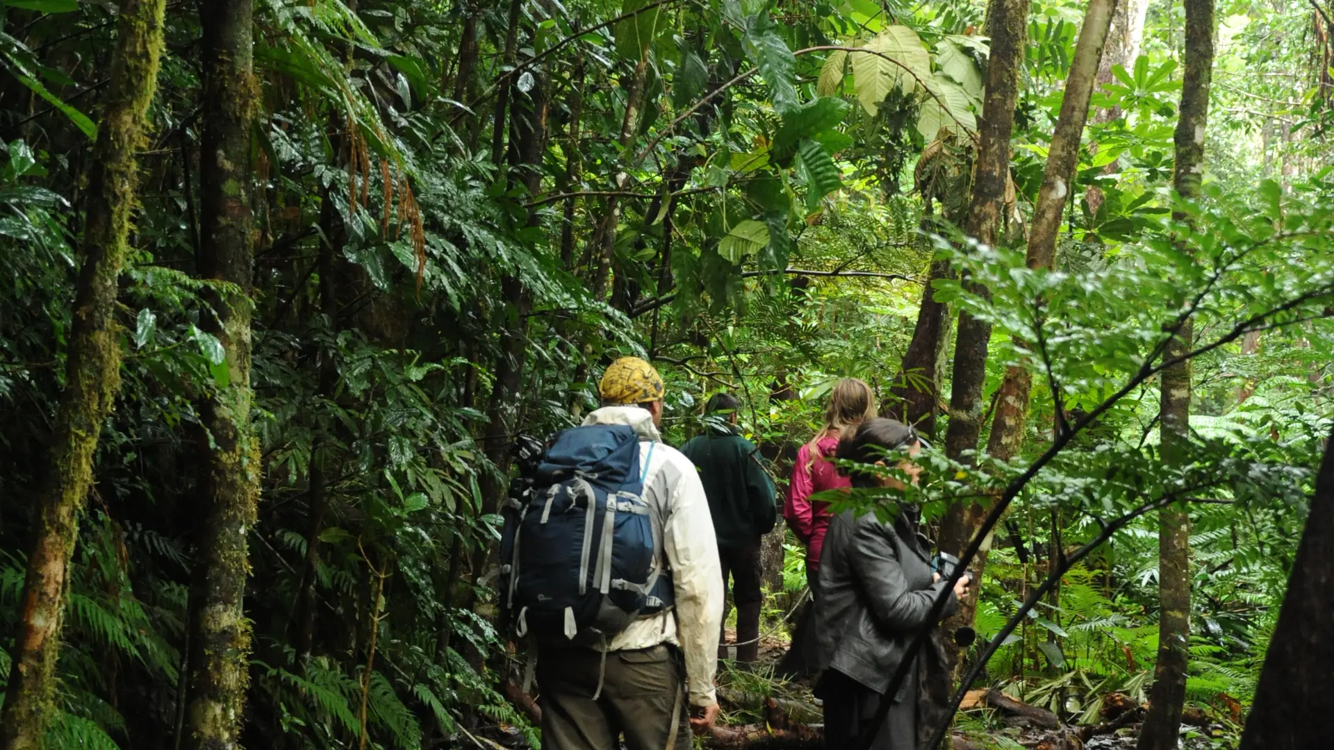 Le sentier du Houp Géant
