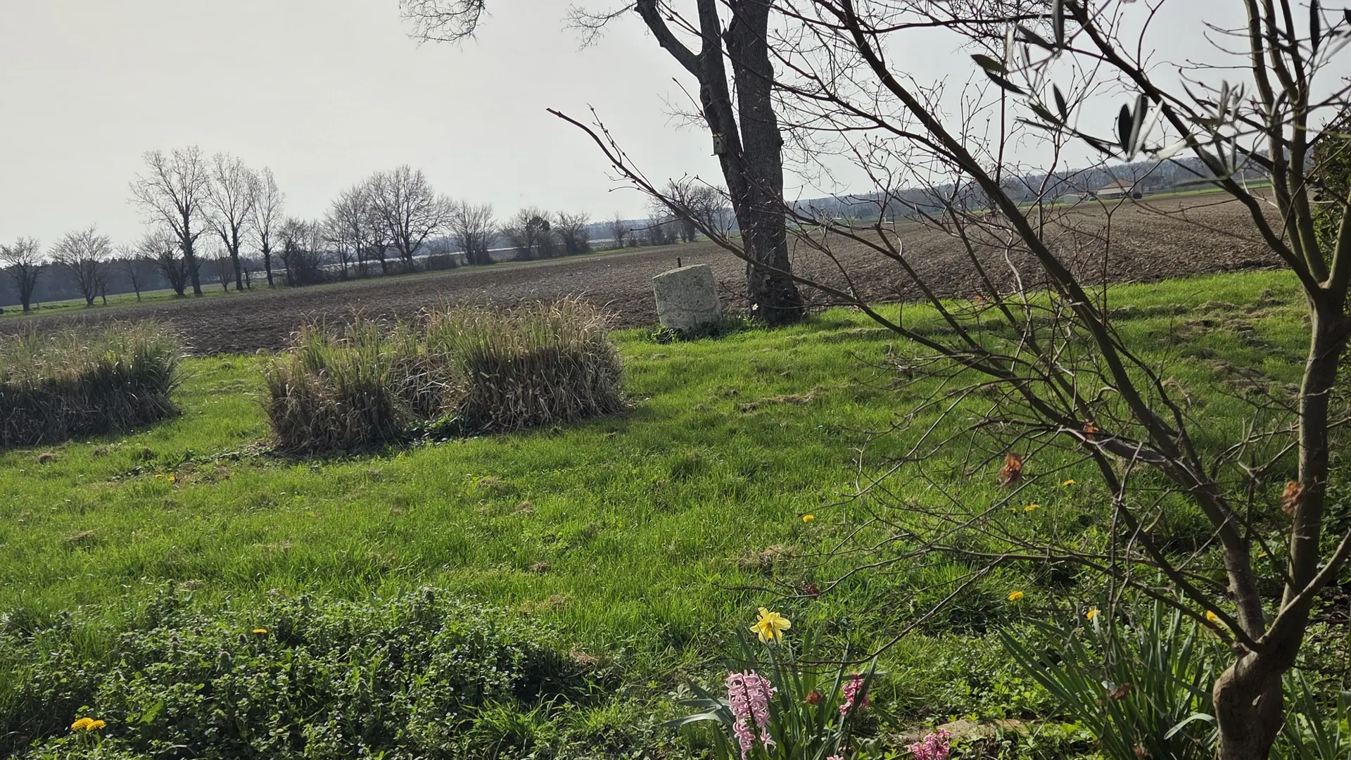 La vue sur la campagne