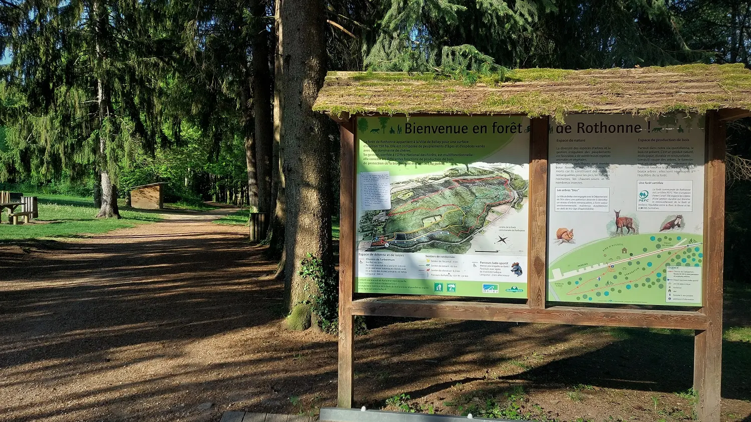 La forêt de Rothonne à Belley