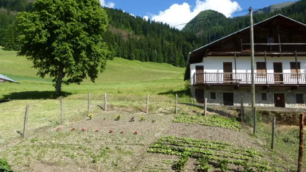 vue sur le potager, depuis le salon et la salle de bain