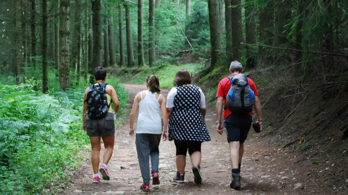 Gite sur le circuit de la Randonnée des Six Hameaux (guide Pays de Noirétable Balisage n°7)