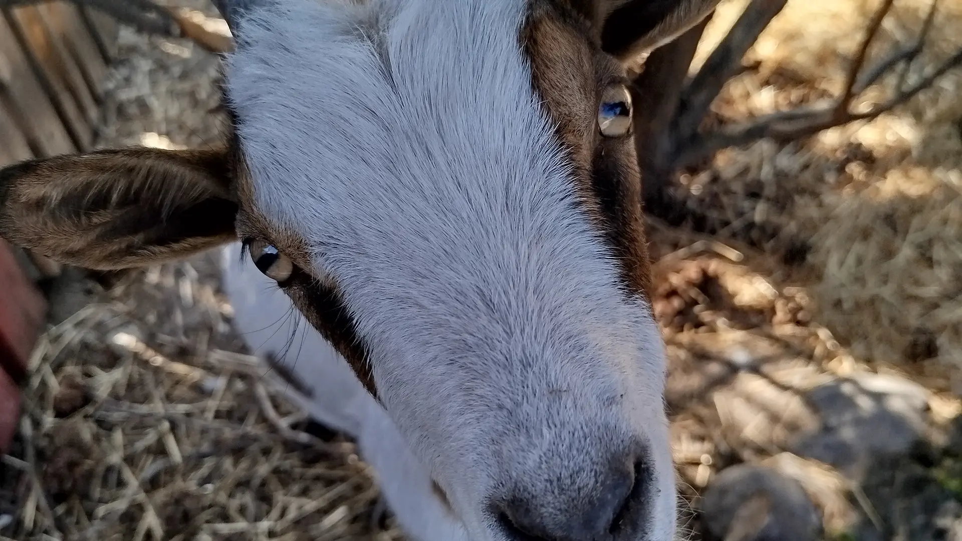 La Mini Ferme de Crots_Crots