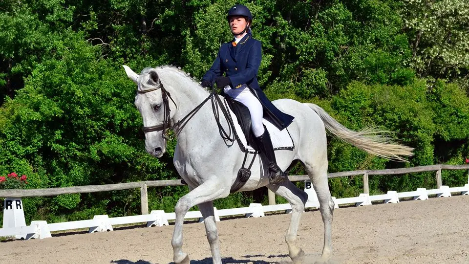 Dressage