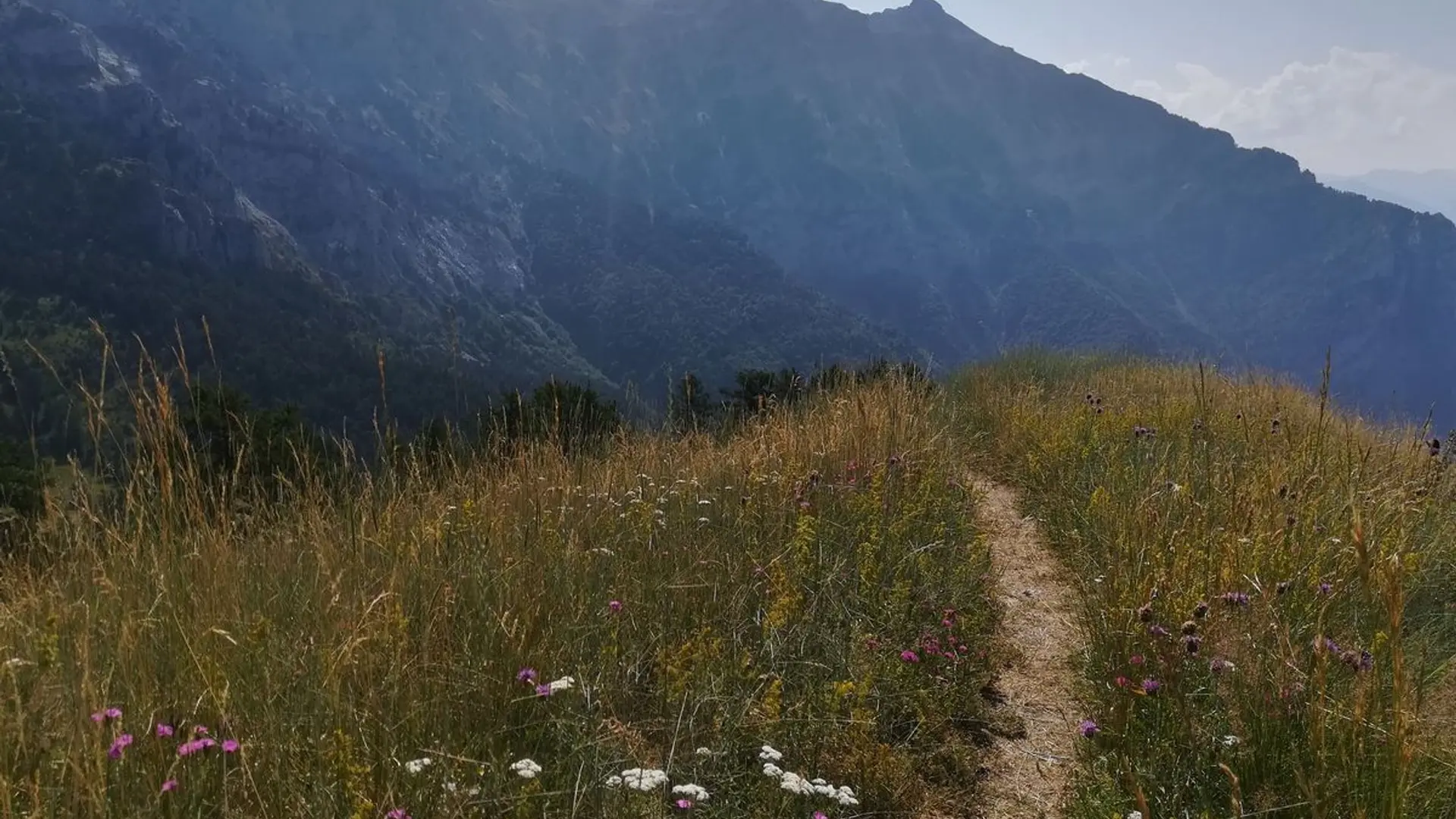 Sur le sentier du Col du Morgonnet