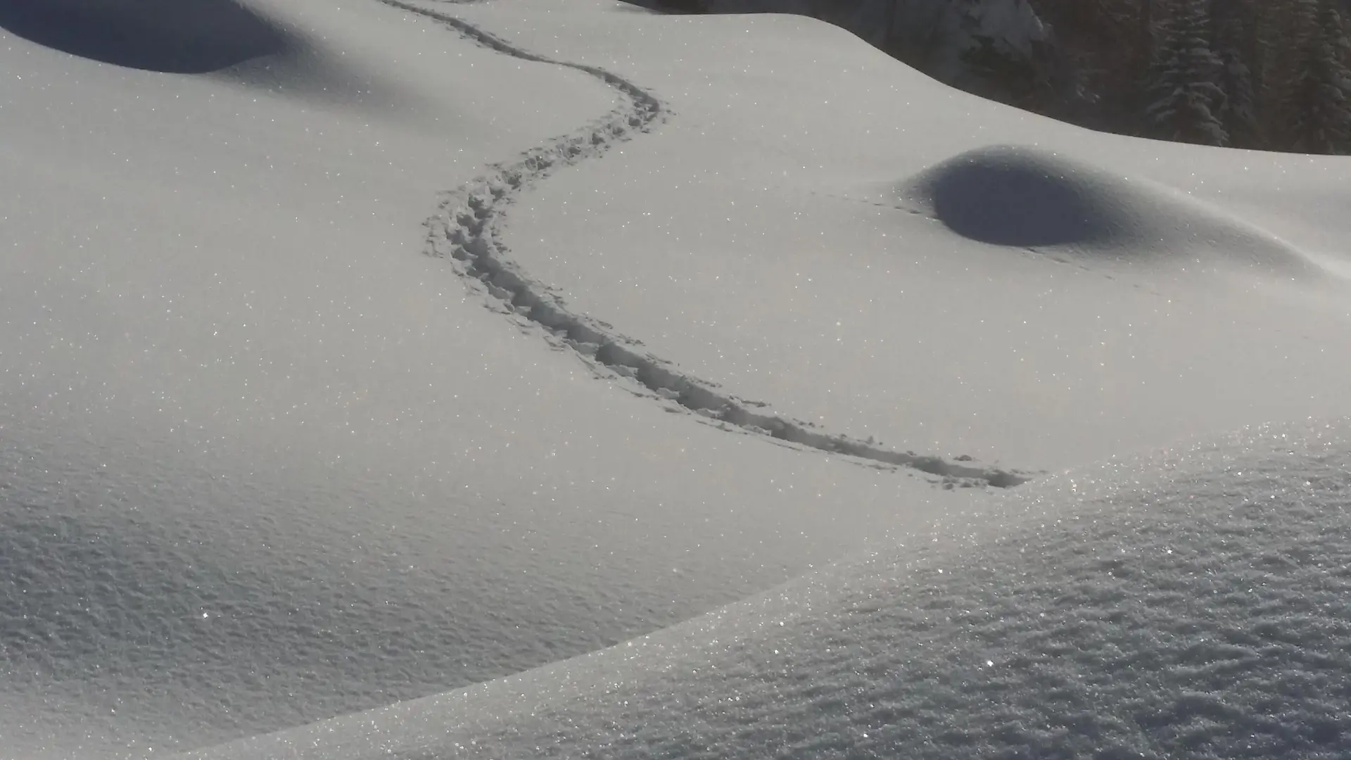 Pascal Bertrès_Val-d'Isère