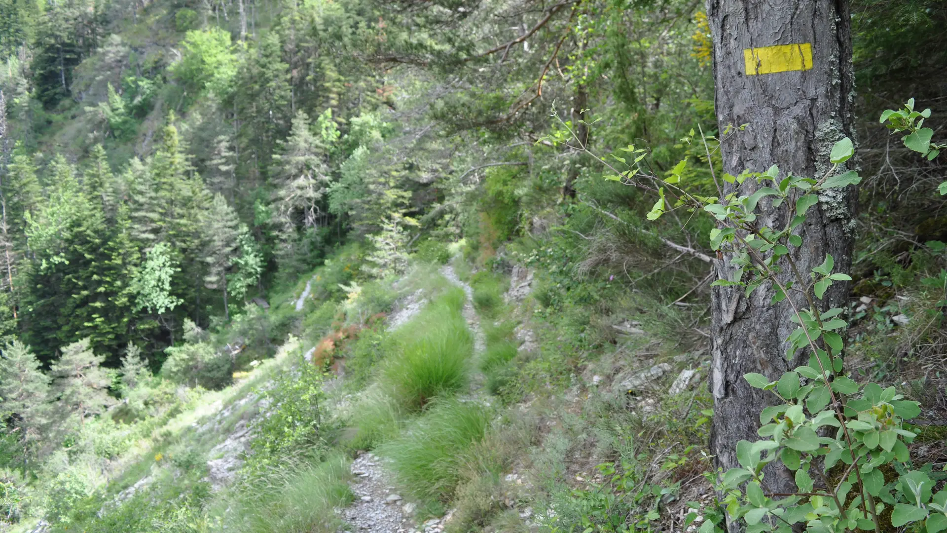 sentier interprétation cyril darius