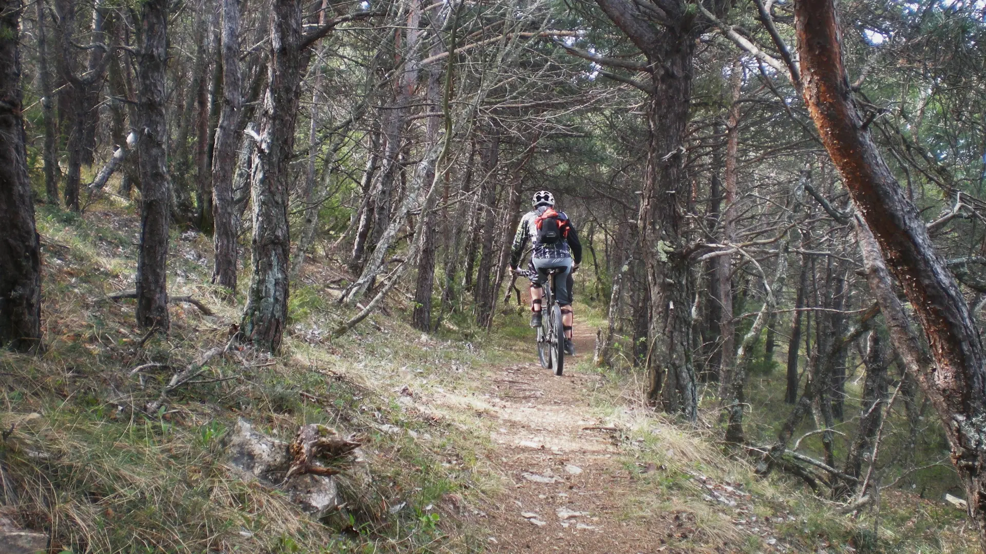 Grand Tour du Pays de Forcalquier en VTT