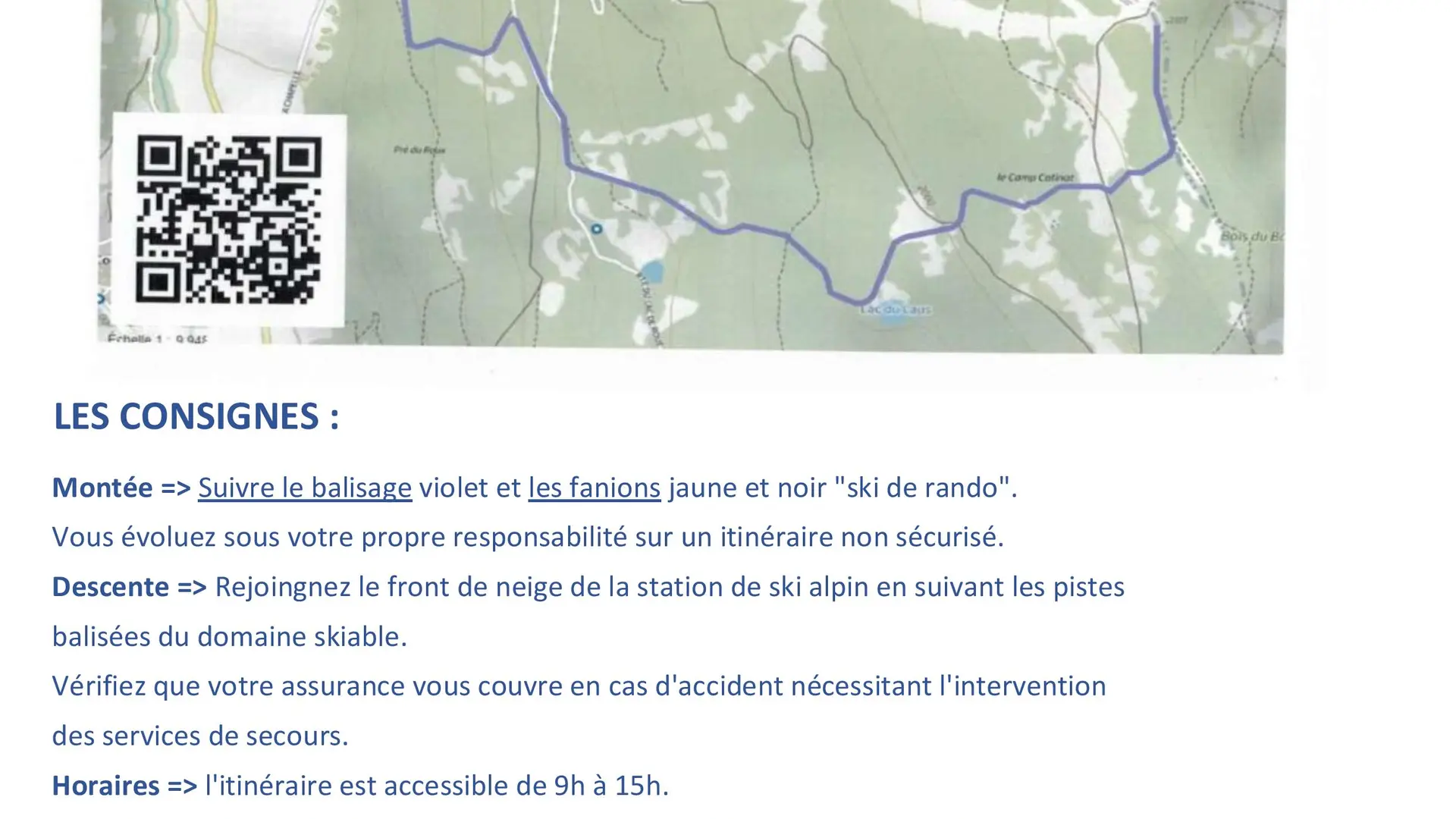 Une sortie en peau de phoques à travers les mélèzes