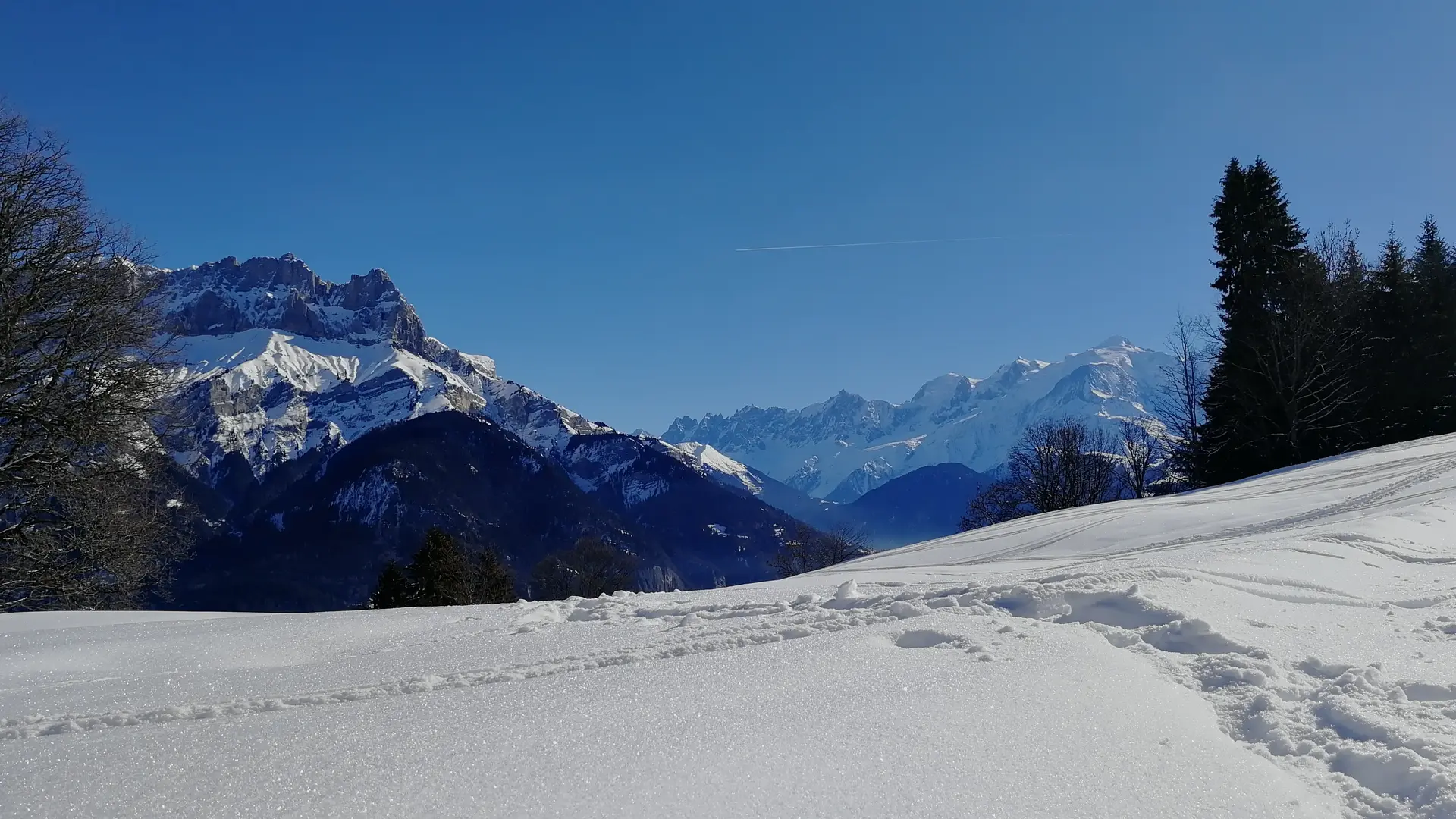 vue sur les Fiz et le Mont-Blanc