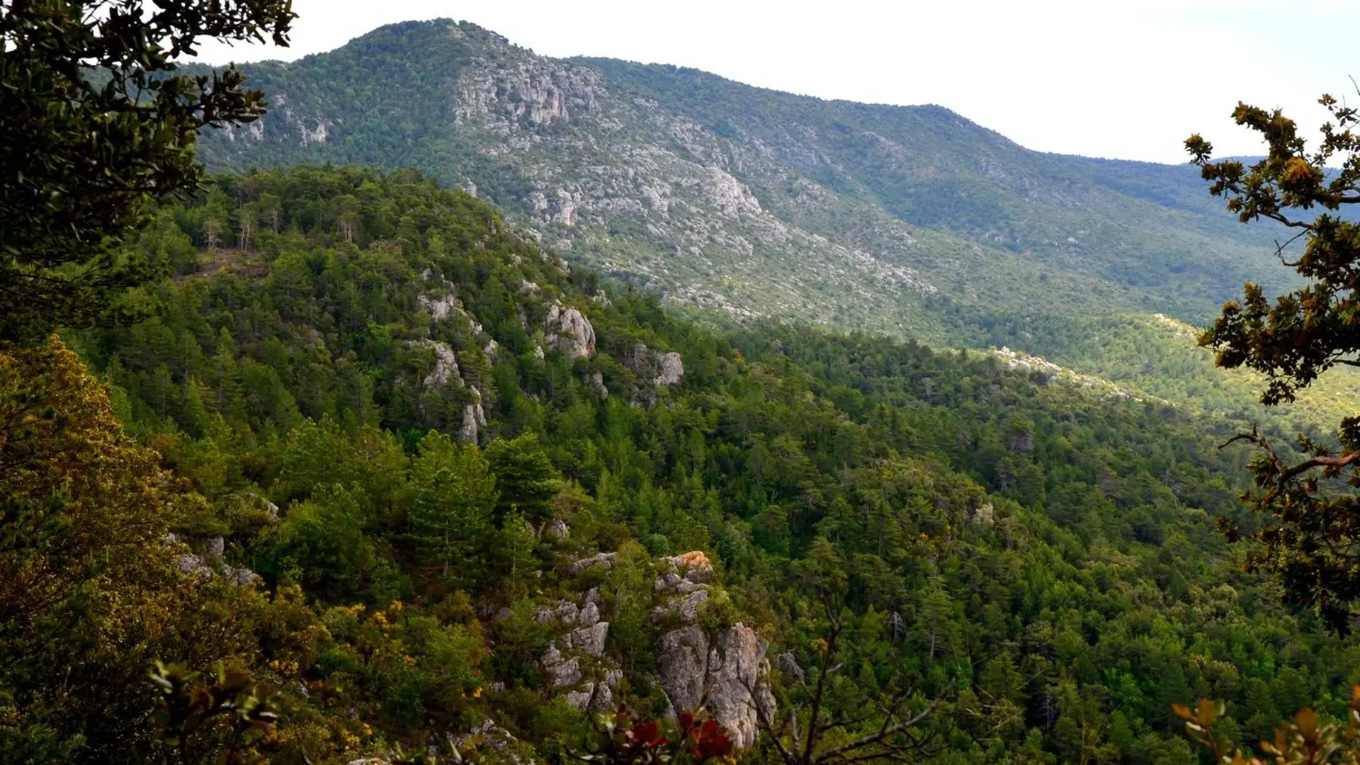 Sur le chemin des crêtes