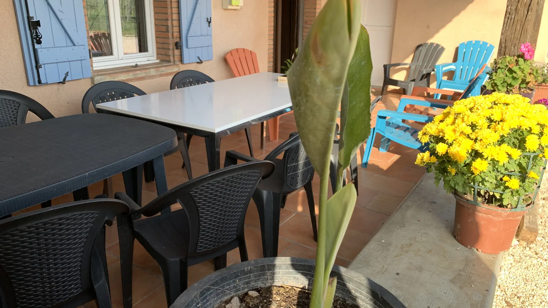 Terrasse couverte