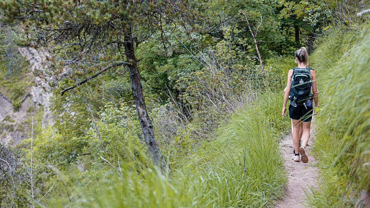 Sentier d'accès à la passerelle