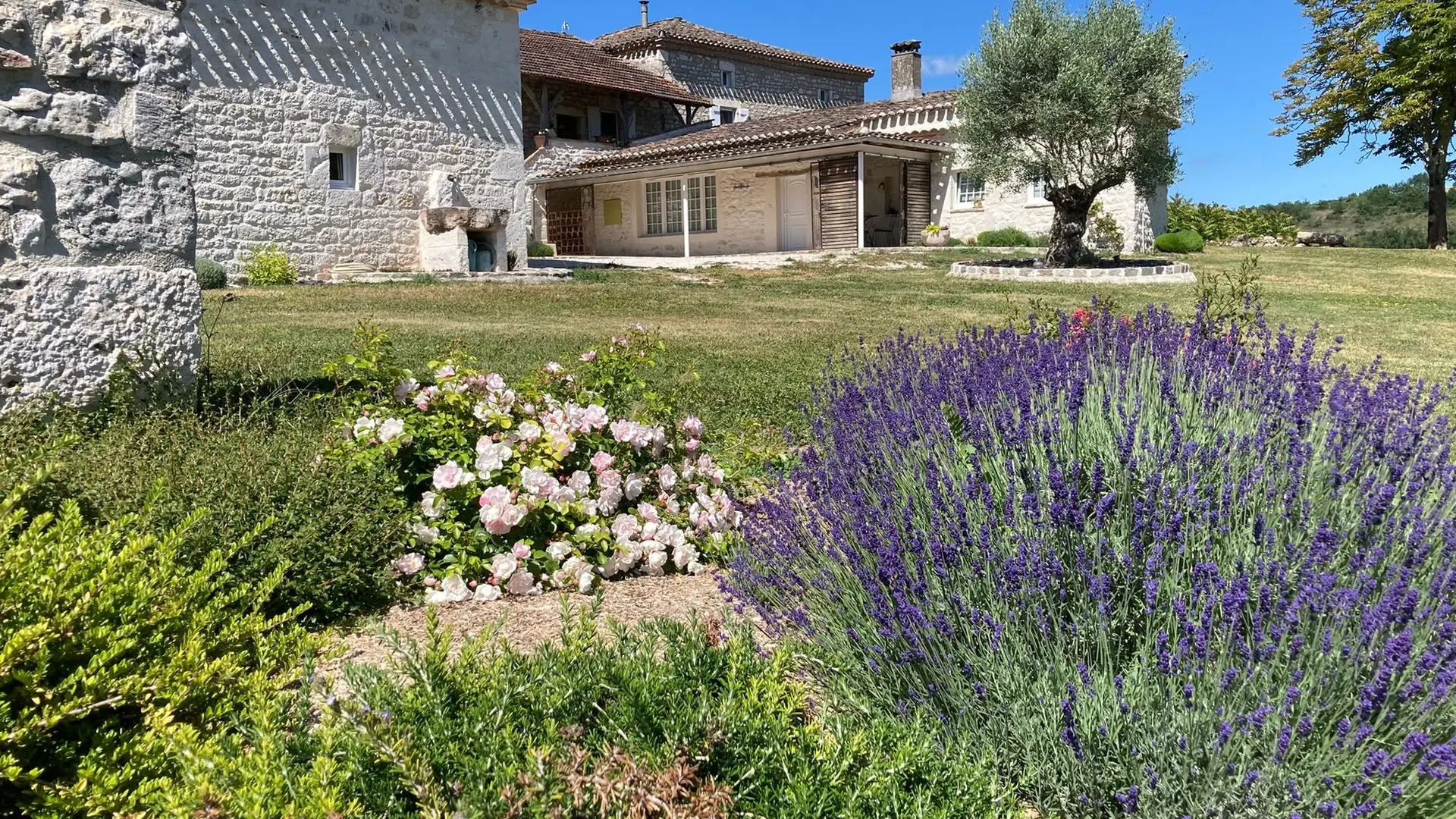 Les bâtis de pierres blanches