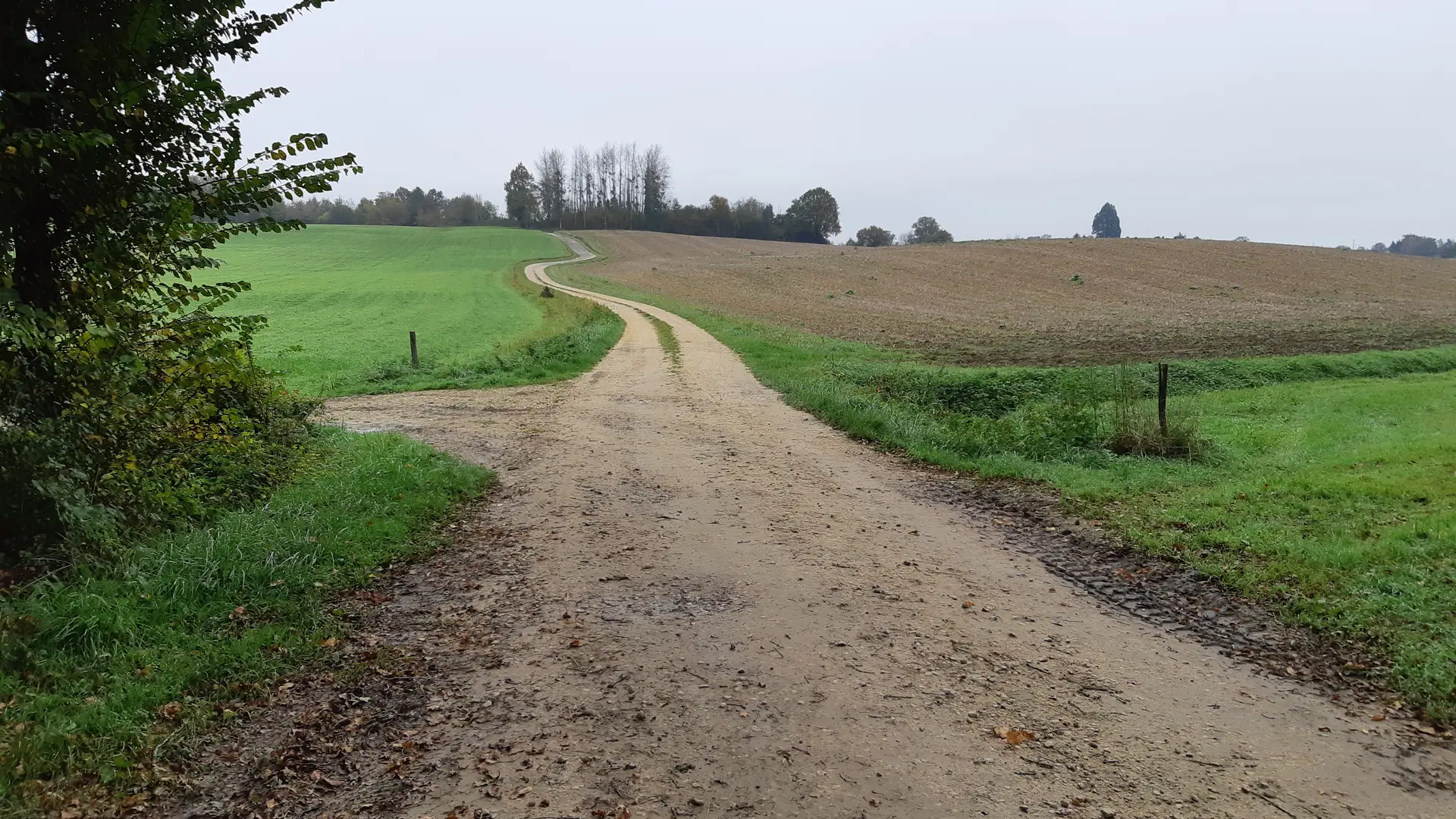 Vallée du Sevron, entre Marboz et Bény