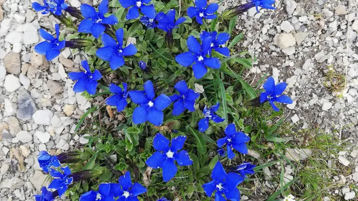 La traversée du Boussolenc