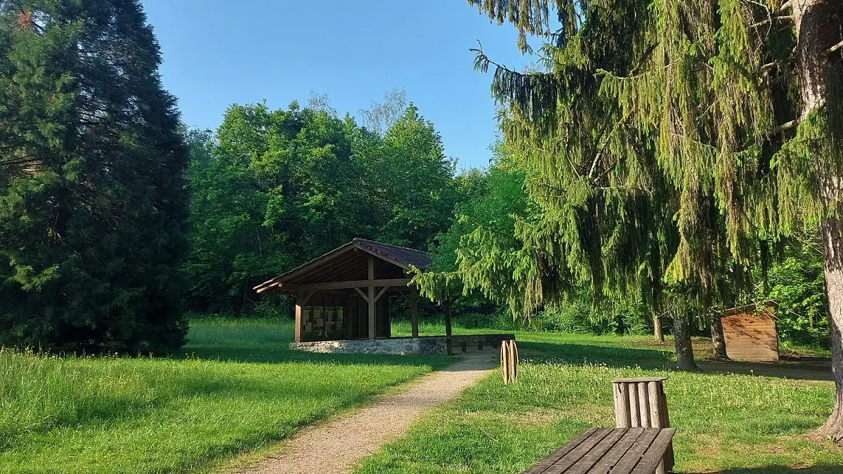 La forêt de Rothonne à Belley