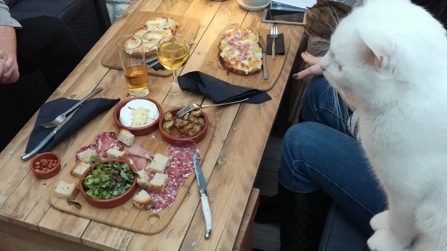 La Compagnie des Chats