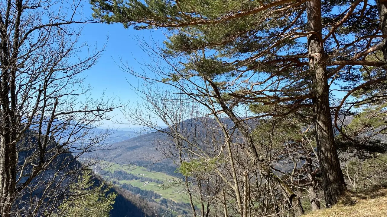 Vue vers St Thibaud de Couz