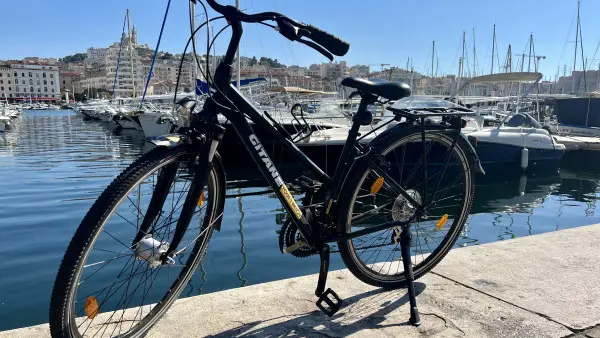 Classic touring bike rental