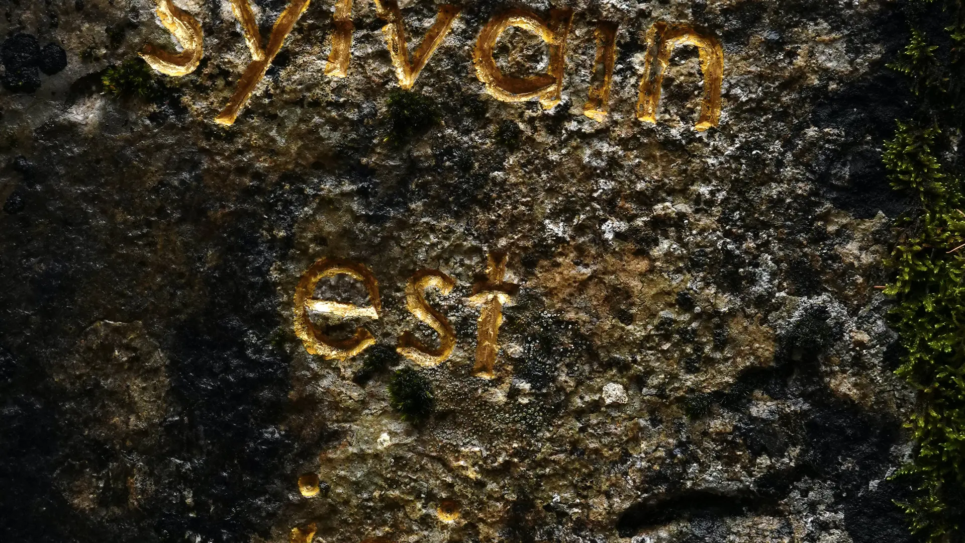 Trace d'herman de vries