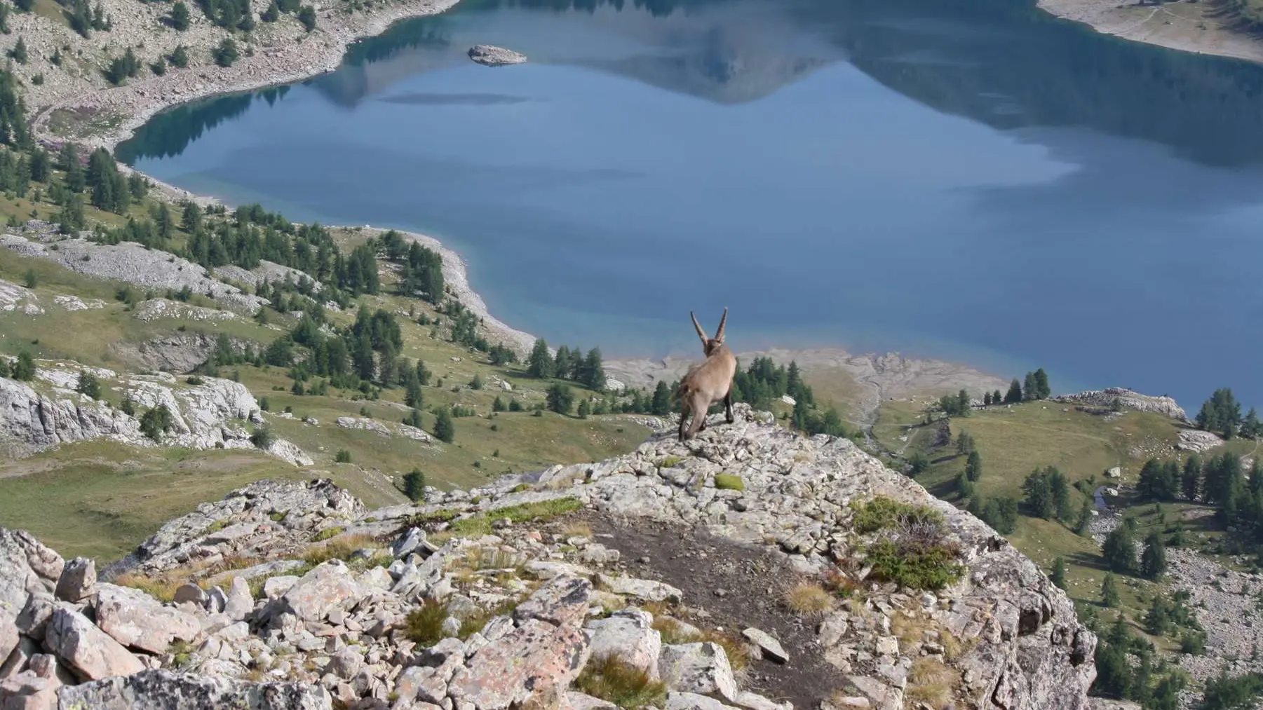 Randonnée faune sauvage Rando Terres d'Azur
