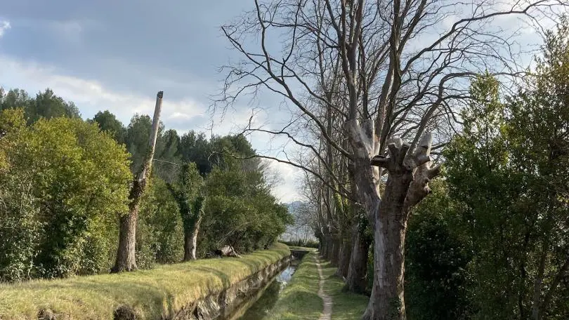 Rives du canal des Alpines