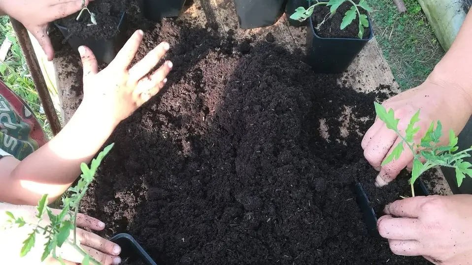 Les mains dans la terre