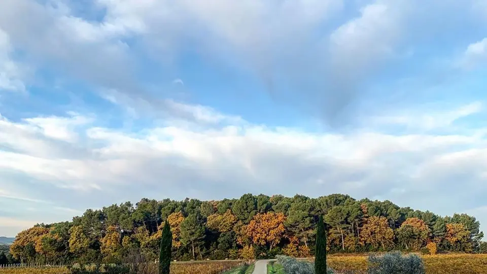 Château Mont-Redon : Famille Abeille - Fabre