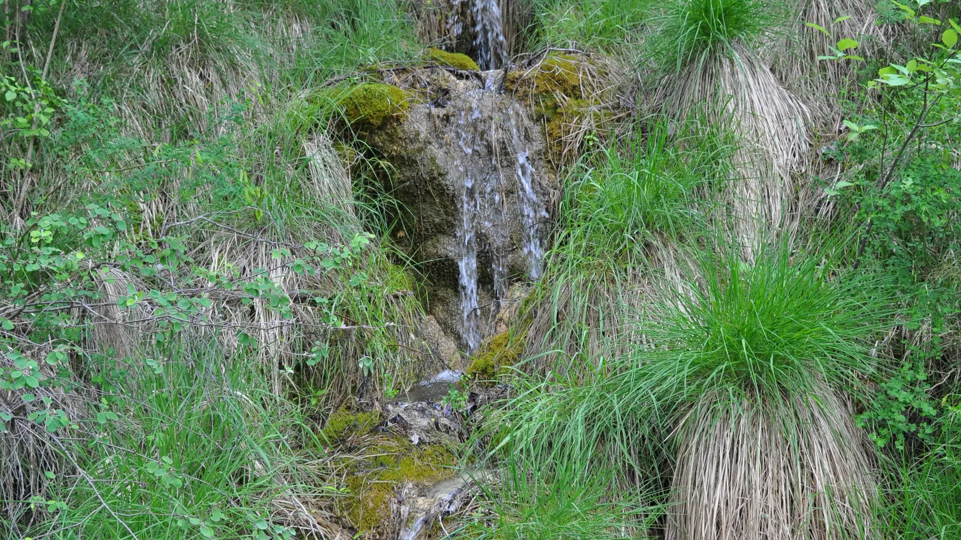 sentier interprétation cyril darius