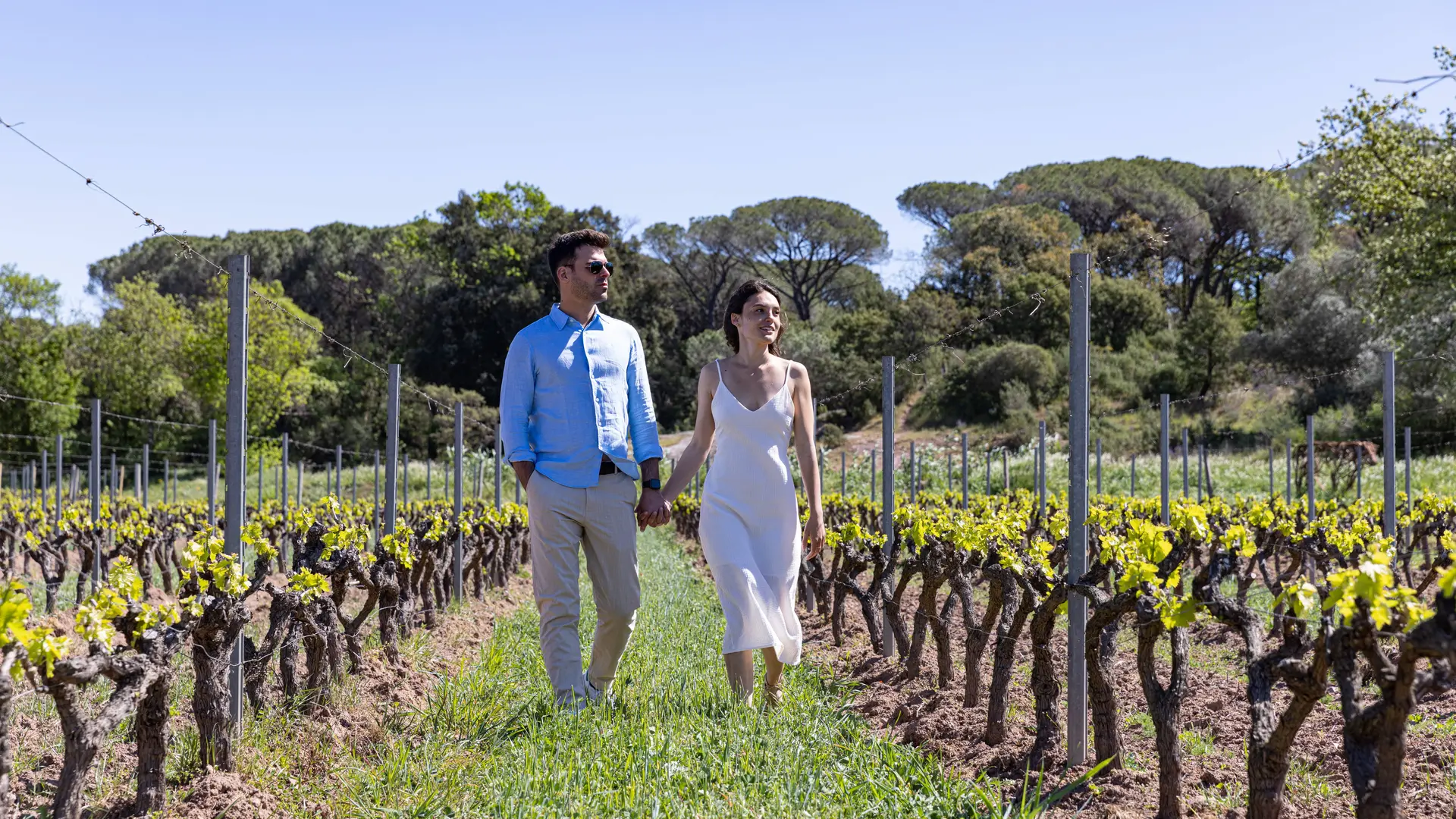 Balade romantique dans les vignes