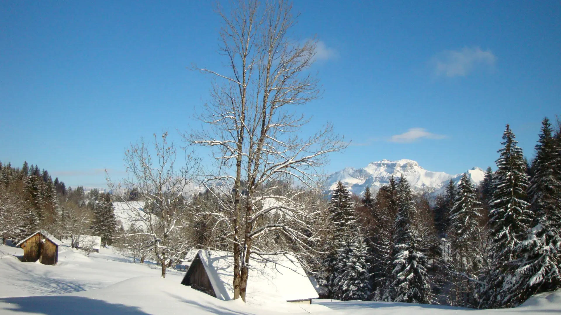 Vers le col de la Frasse