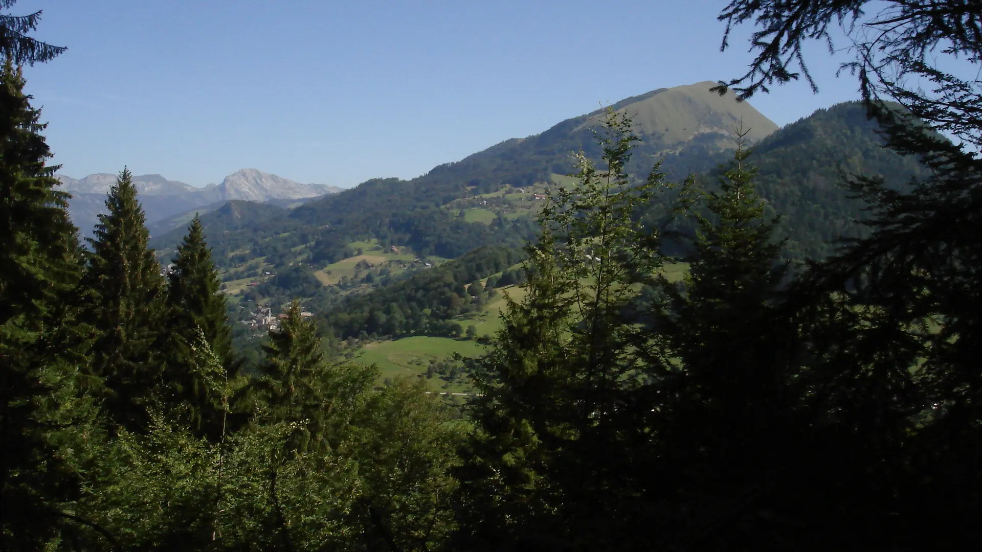 Panorama