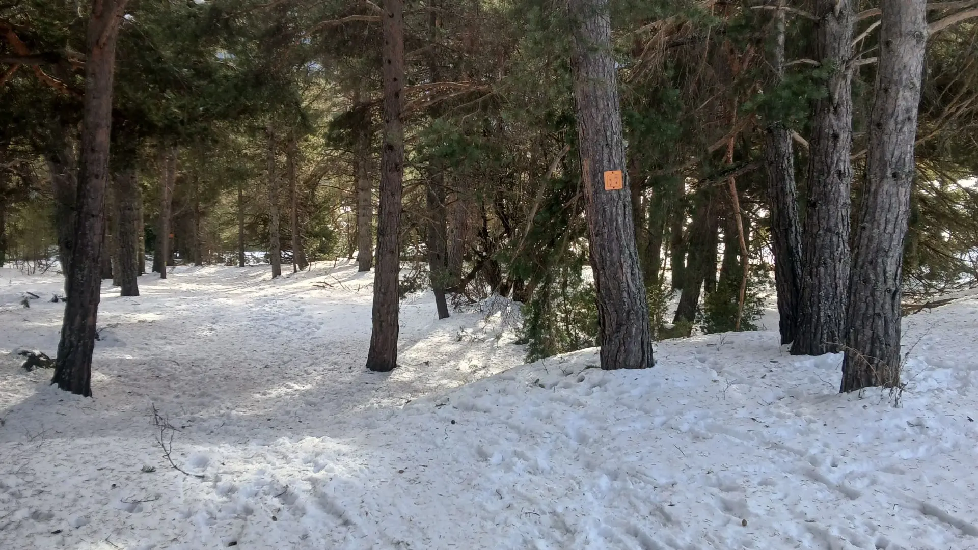 Itinéraire raquettes - Les Arras_Névache