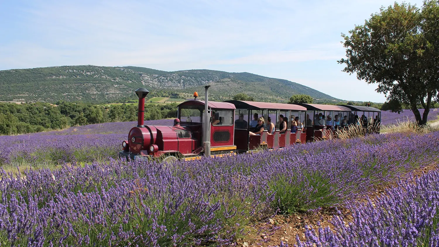 Tour en train