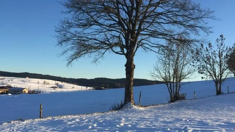 NEIGE ET SOLEIL: FEVRIER 2019