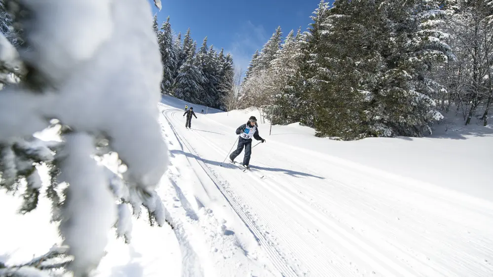 Ski de fond