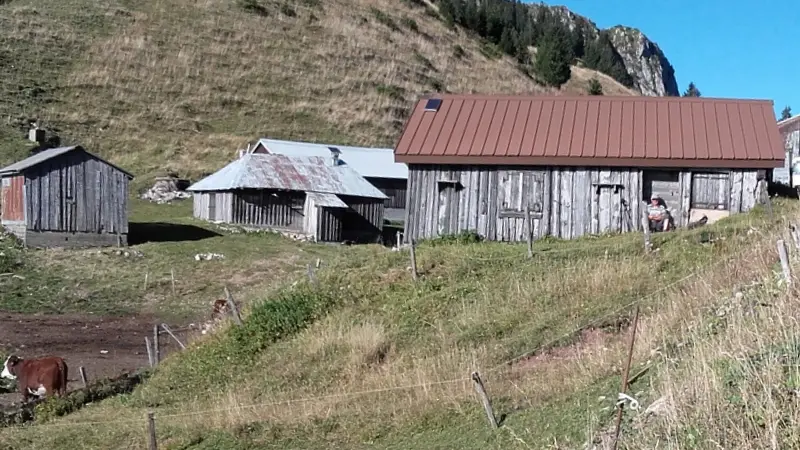 Photo touristique: Alpage de Pertuis