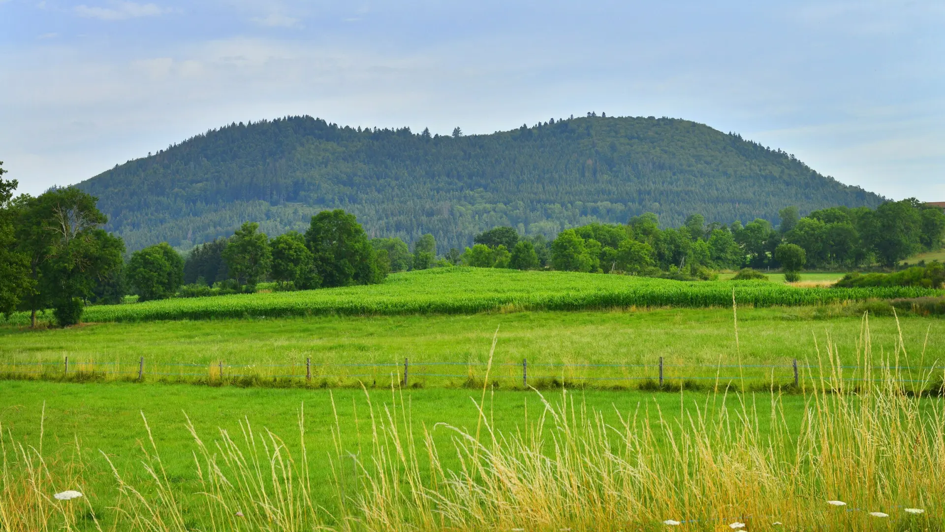 photo-prestataire