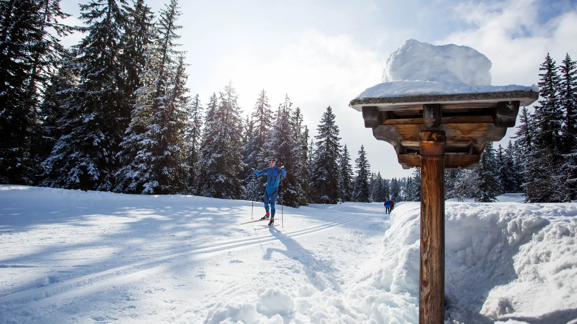 pistes-skating-et-alternatif