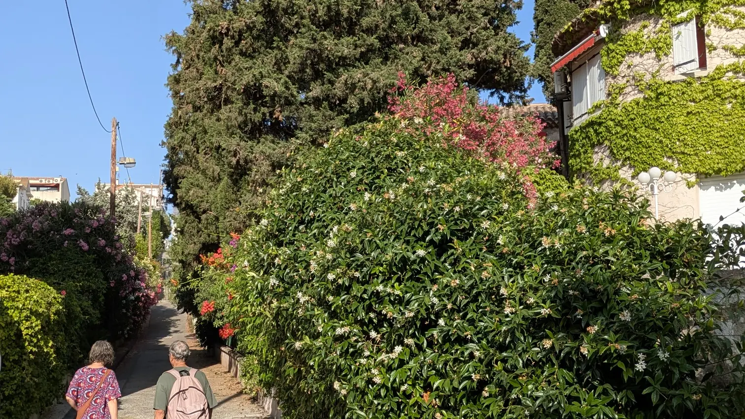 piétons rue Fouque très verdoyante