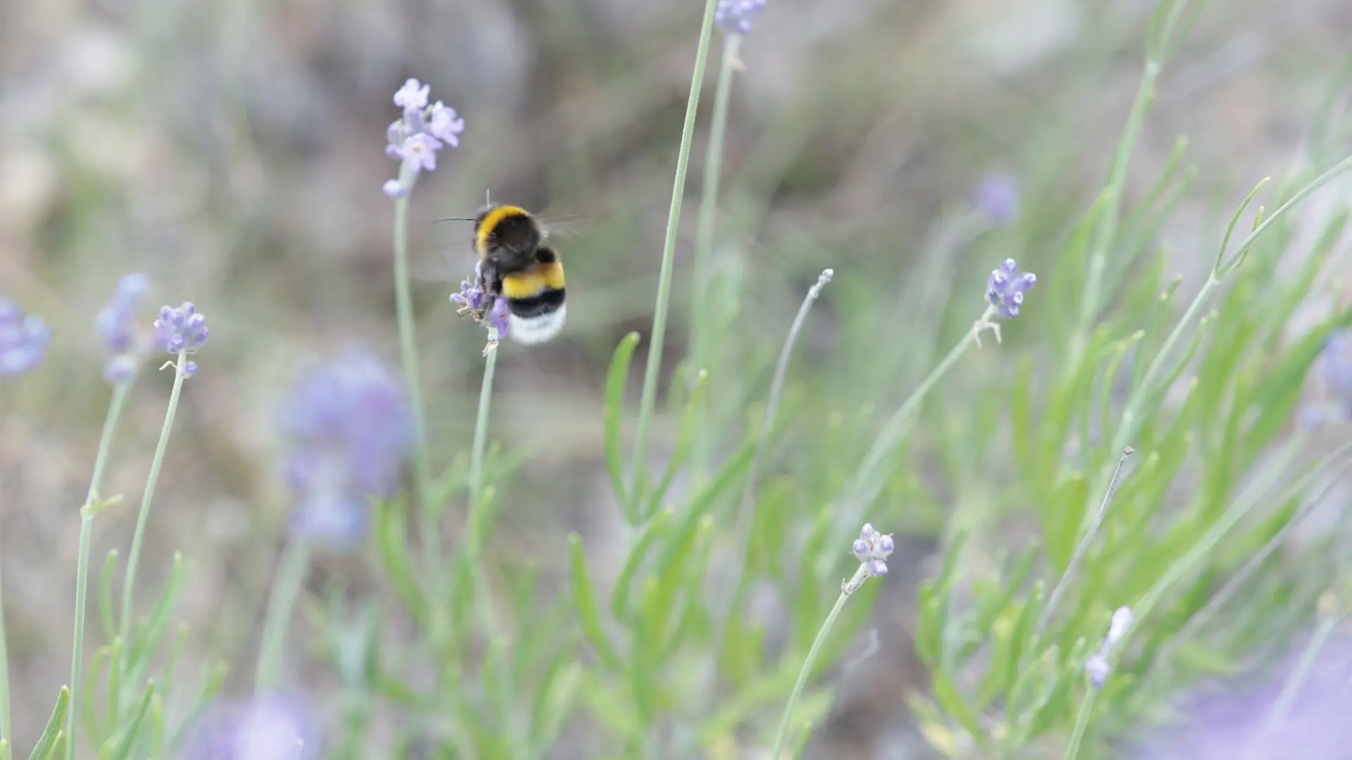 Col de Pierrefeu depuis Glaise