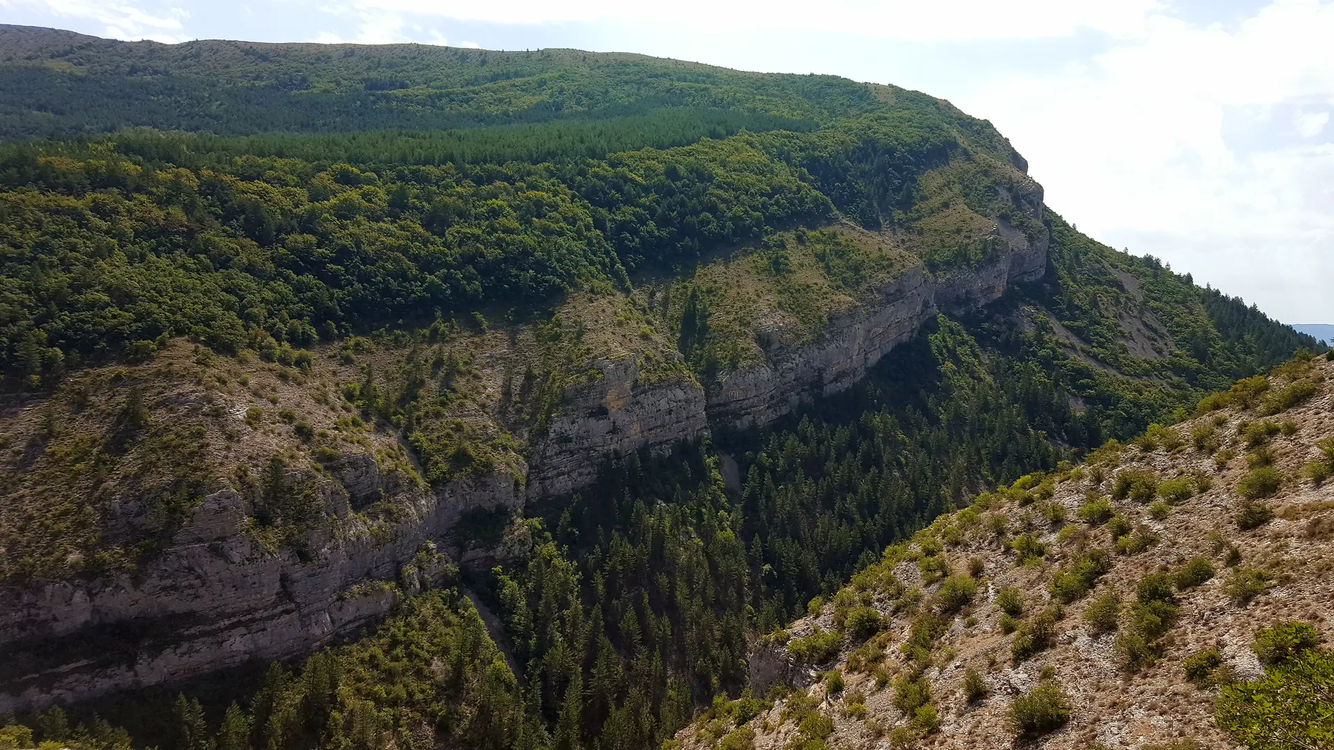 Forêt Domaniale du Beynon