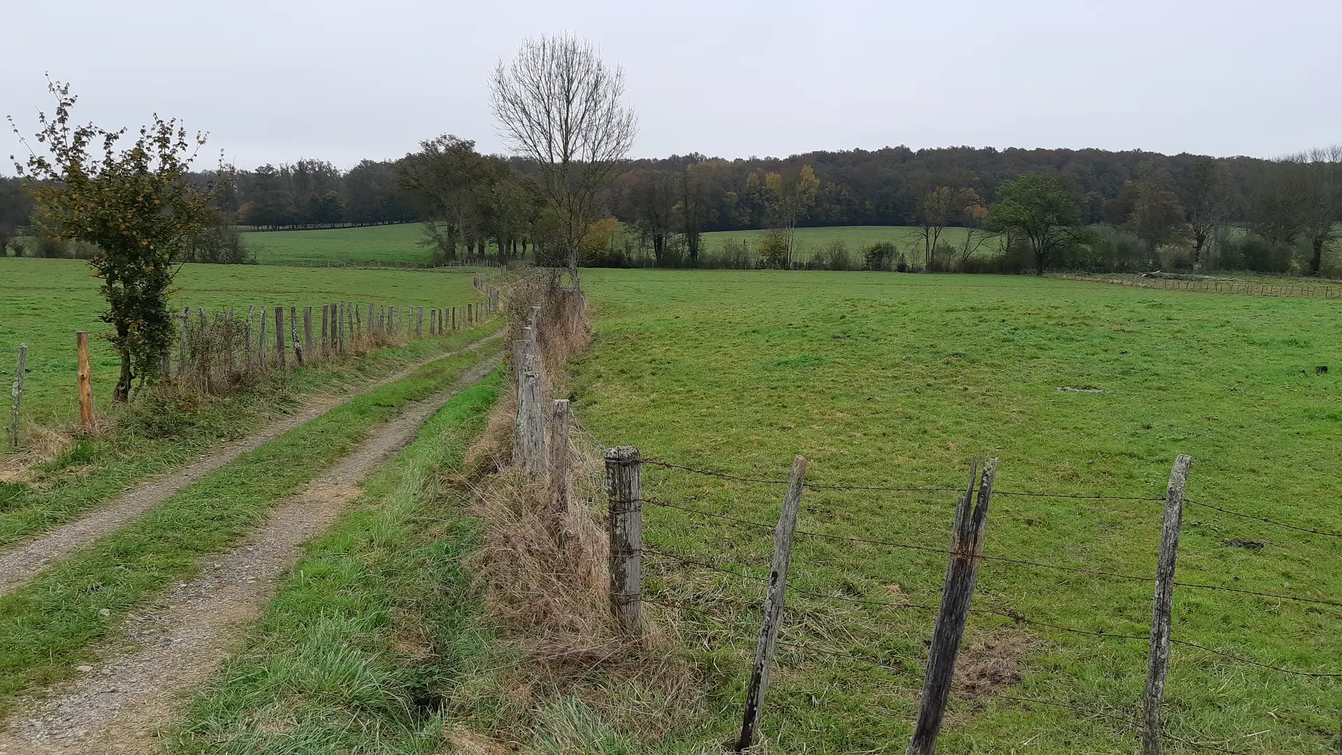 Vallée du Sevron, entre Marboz et Bény